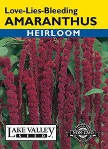 alaskamillandfeed-3438649