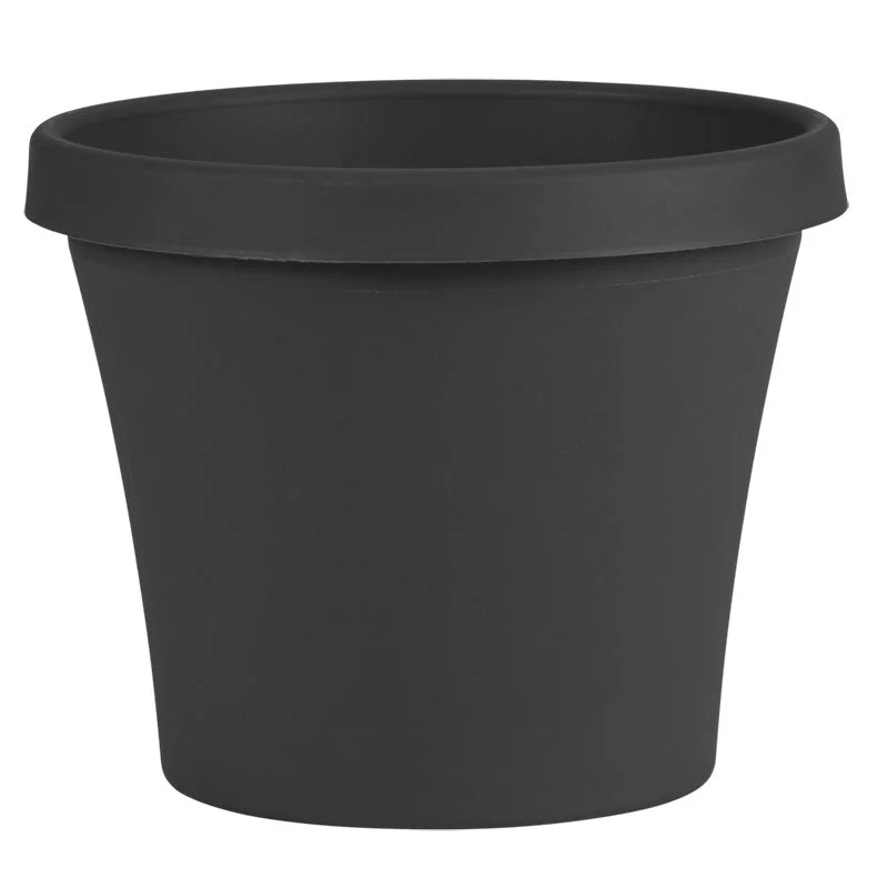 alsipnursery13417733