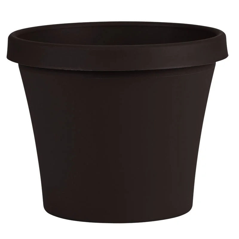 alsipnursery13417778