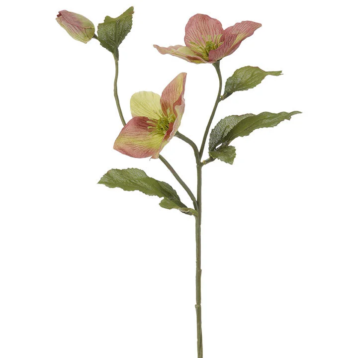 alsipnursery13418167