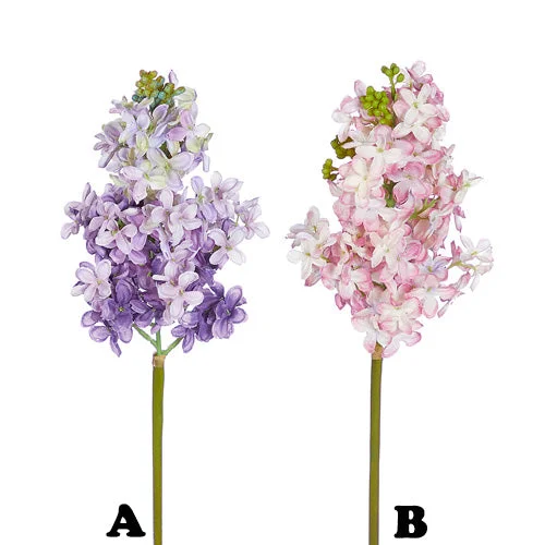 alsipnursery13418206