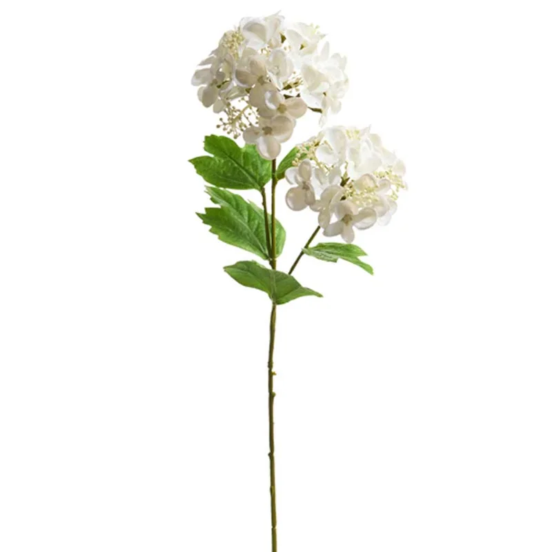 alsipnursery13419379
