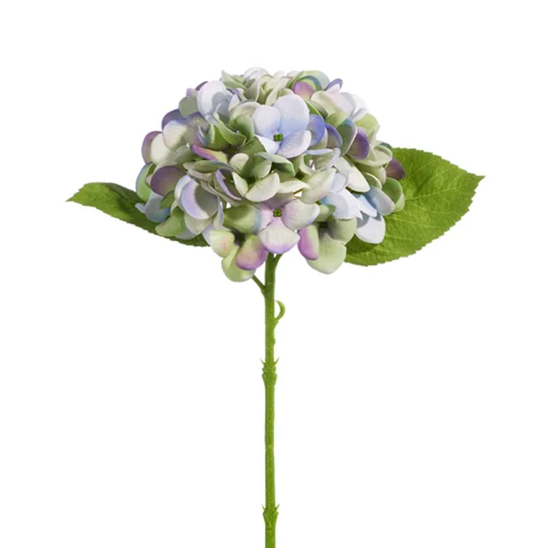 alsipnursery13419384