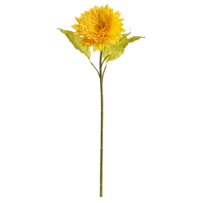 alsipnursery13419387