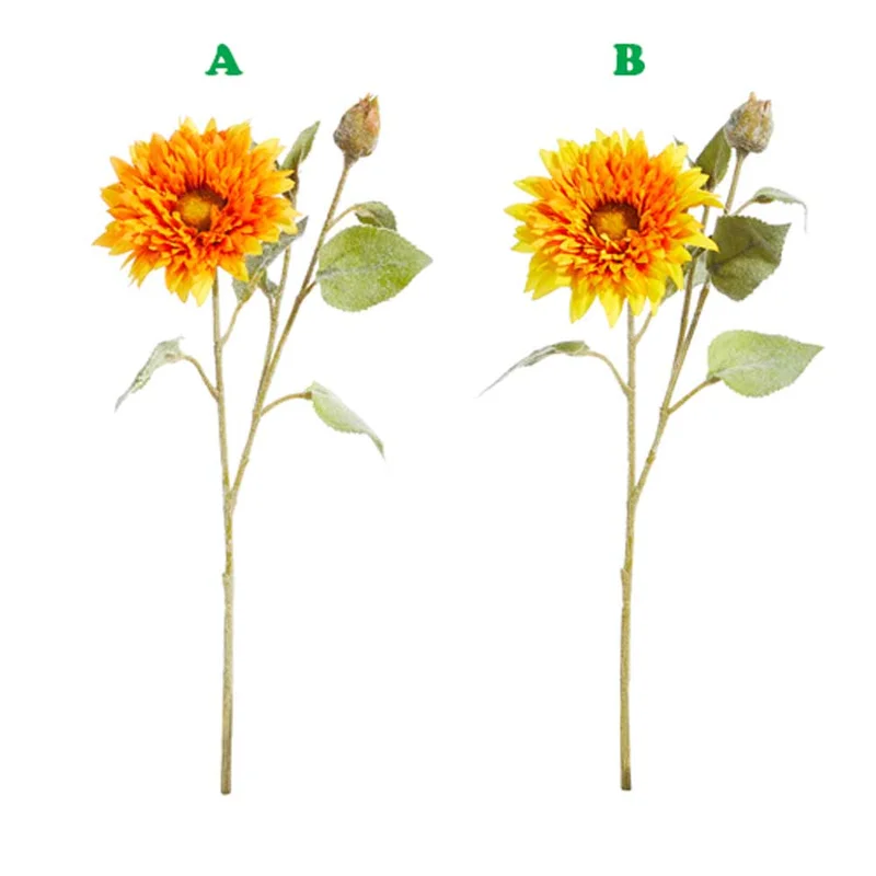 alsipnursery13419393