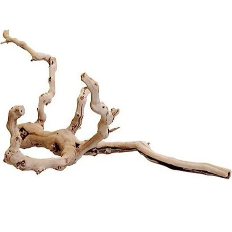 alsipnursery13419900