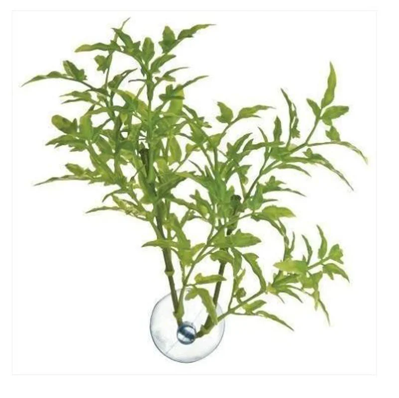 alsipnursery13420173