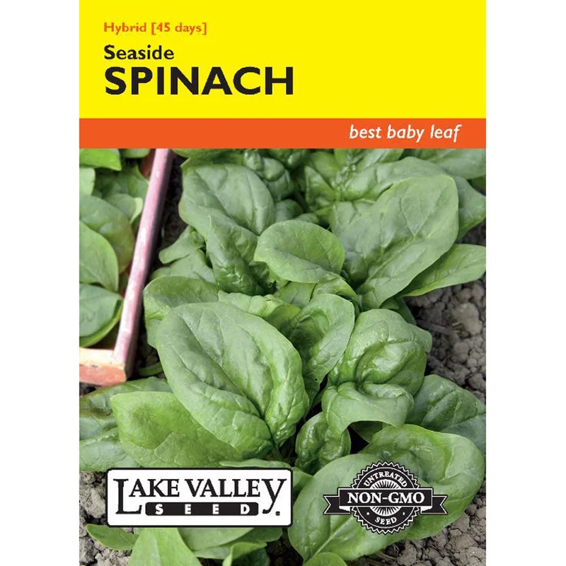 alsipnursery13446345
