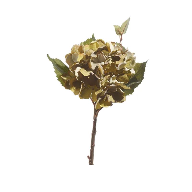 alsipnursery13459680