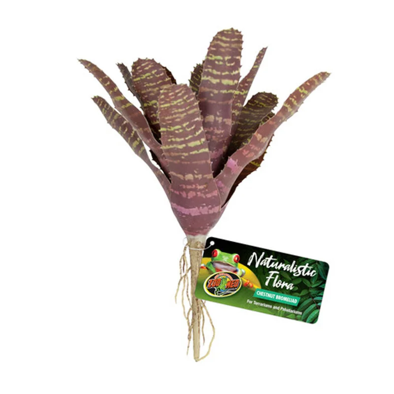 alsipnursery13469506
