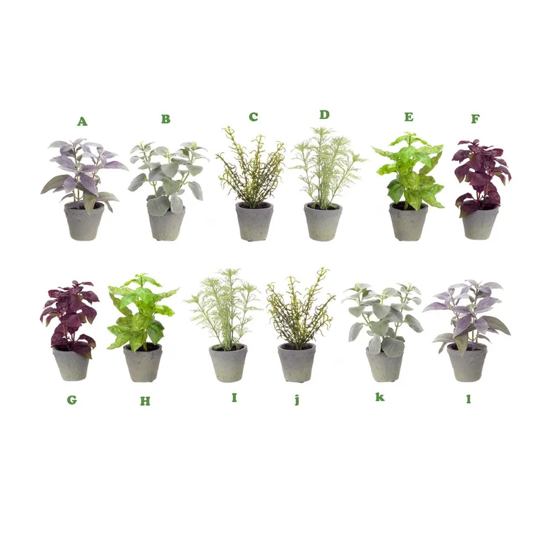 alsipnursery13472429