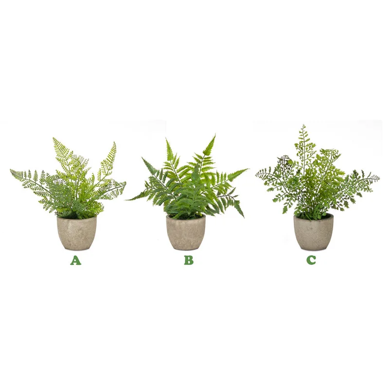 alsipnursery13472438