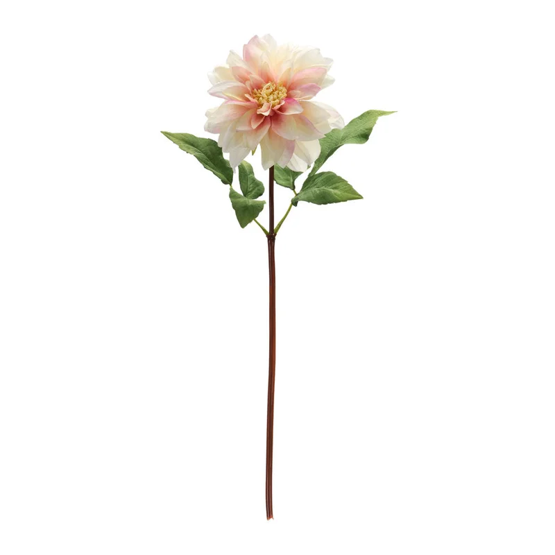 alsipnursery13472477