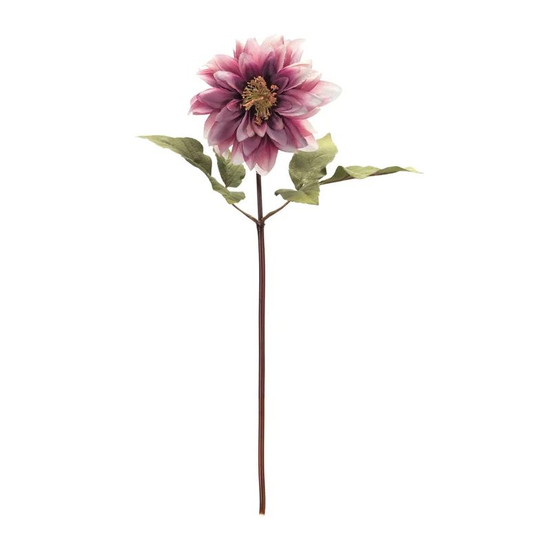 alsipnursery13472492
