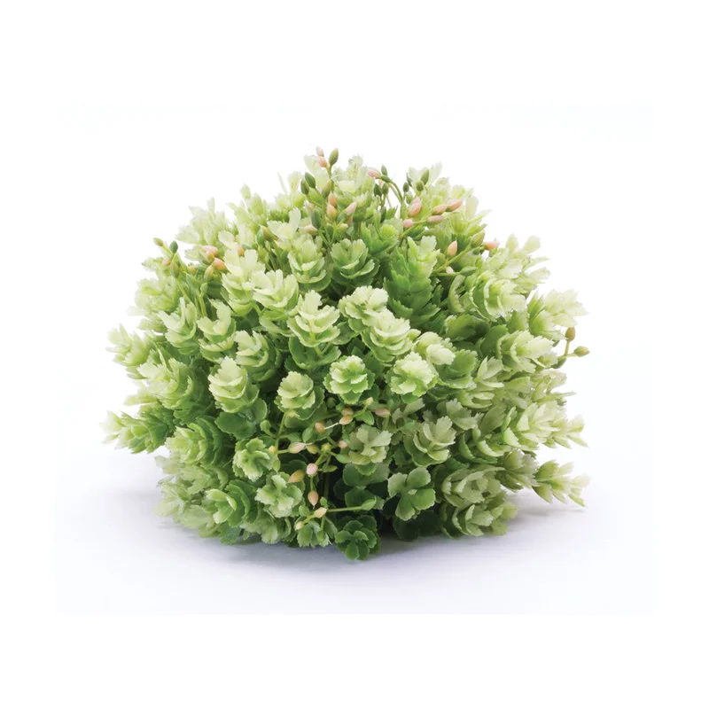 alsipnursery13472801