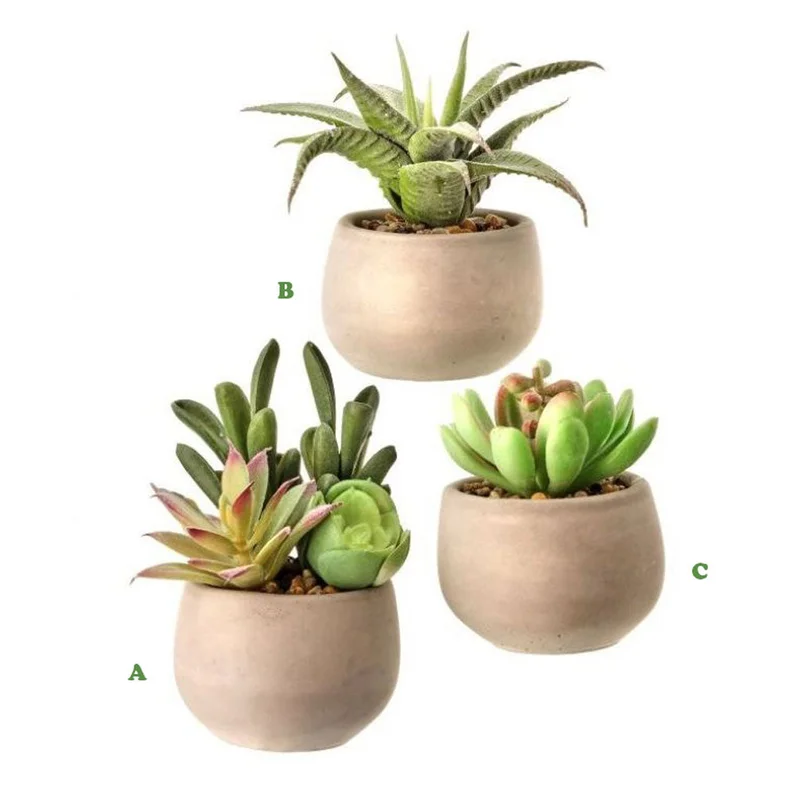 alsipnursery13473503