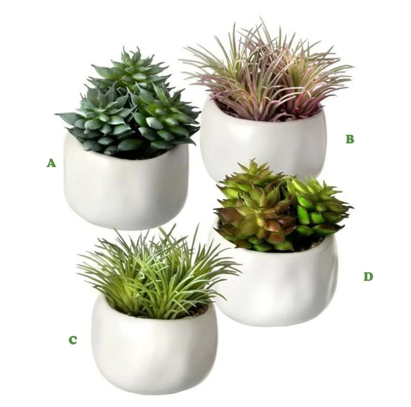 alsipnursery13473549
