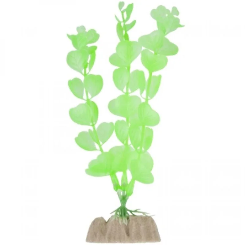 alsipnursery13474969