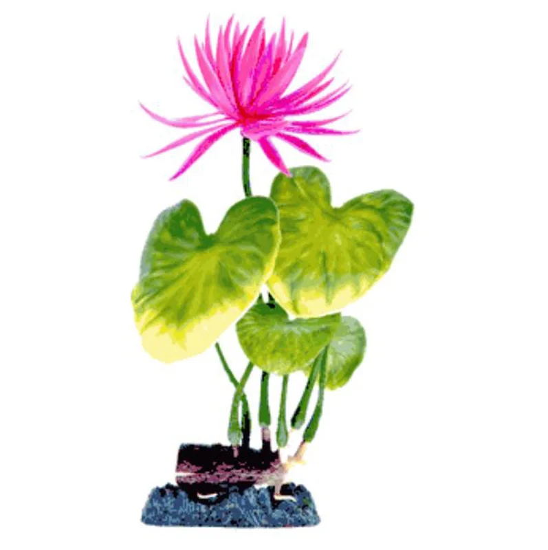 alsipnursery13474985