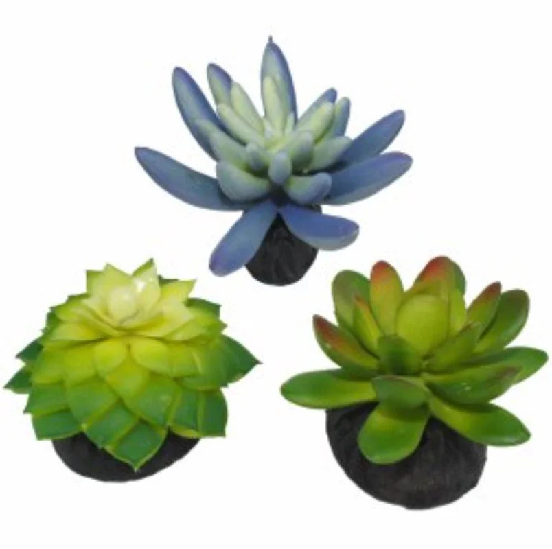 alsipnursery13477878