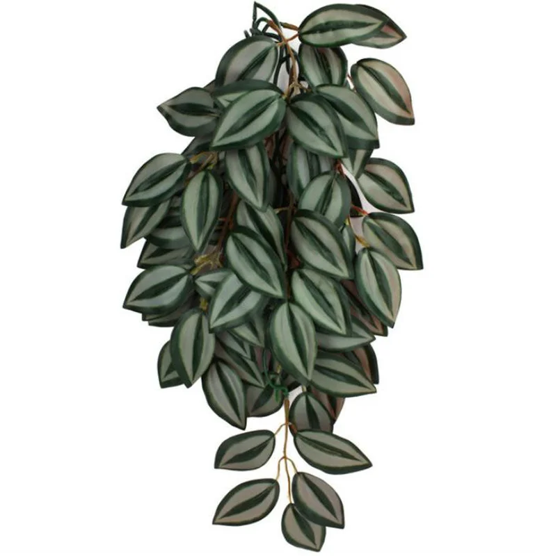 alsipnursery13477912