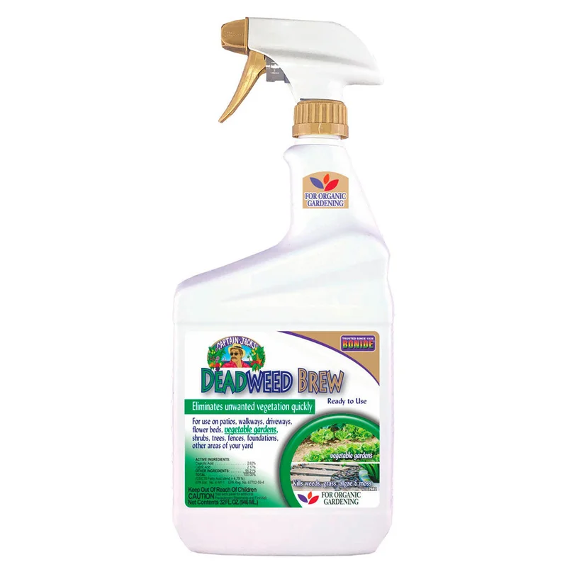 alsipnursery13478845