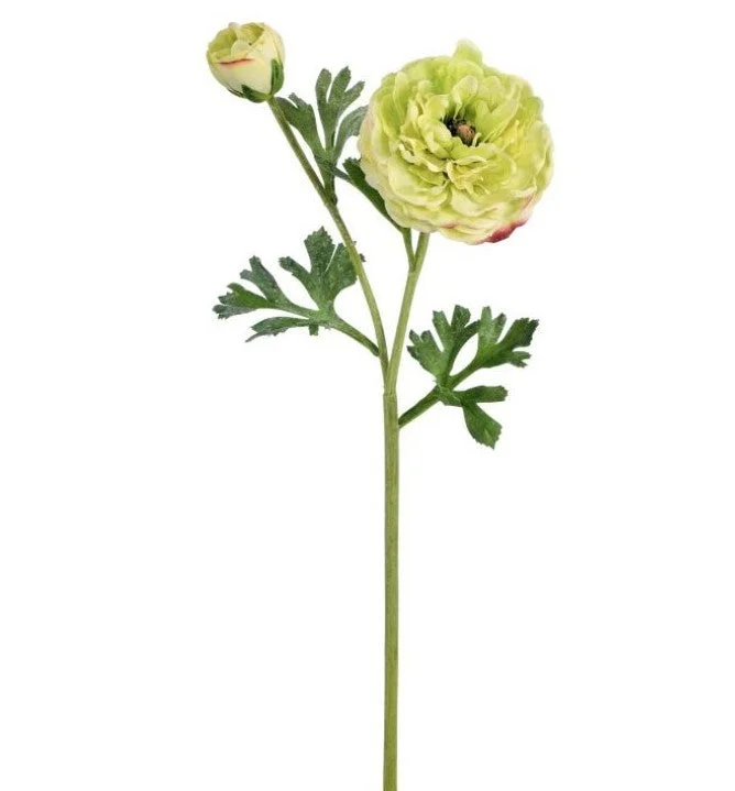 alsipnursery13479630