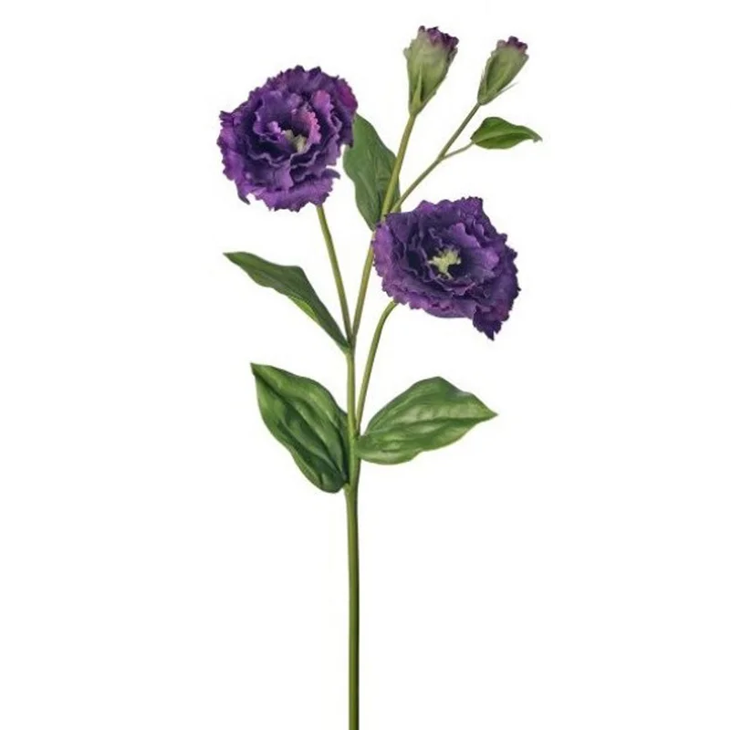 alsipnursery13479635