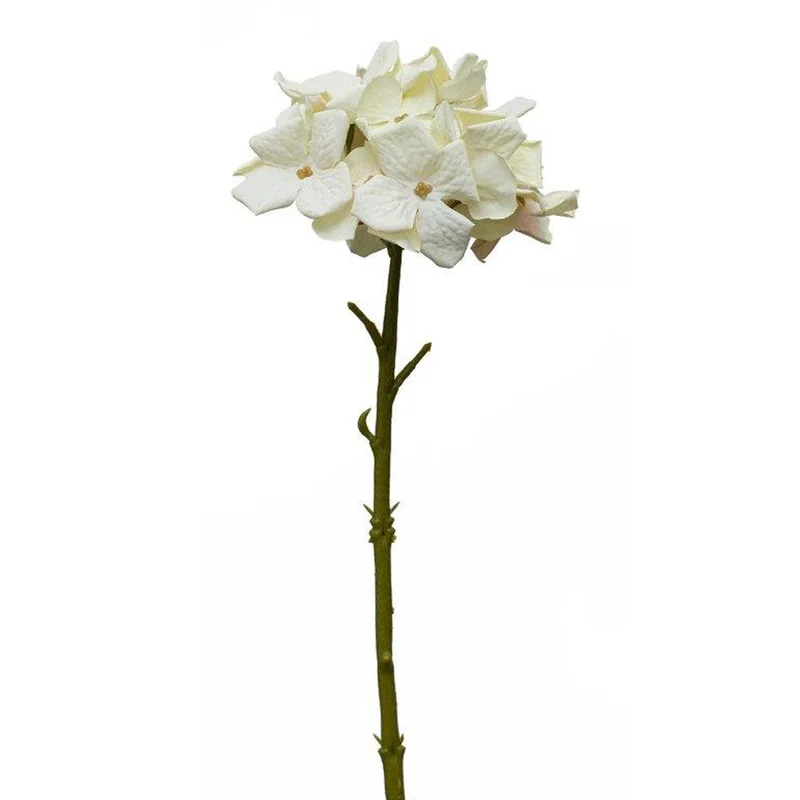 alsipnursery13479653