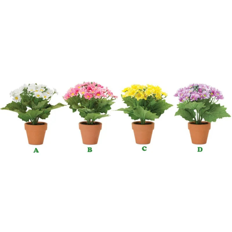 alsipnursery13479659