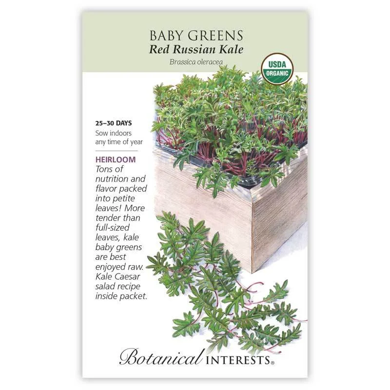 alsipnursery13481526