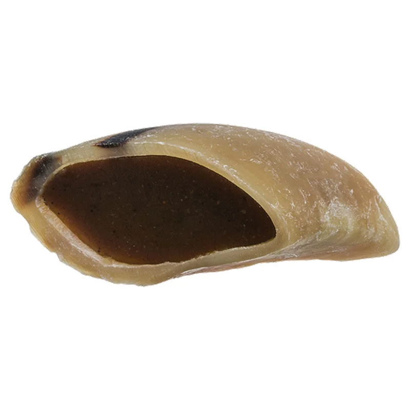 alsipnursery13481739