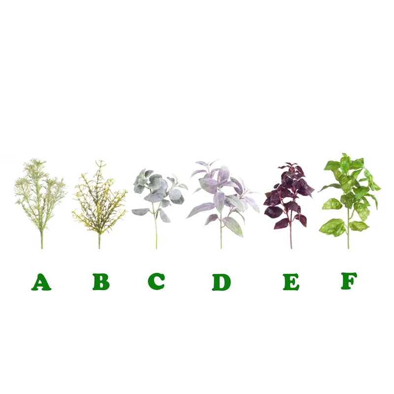 alsipnursery13484336