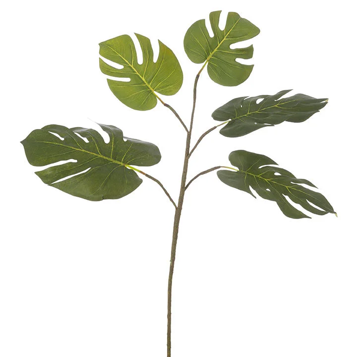 alsipnursery13484342