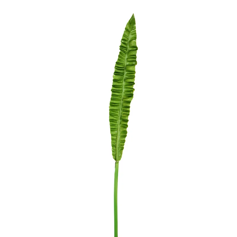 alsipnursery13484354