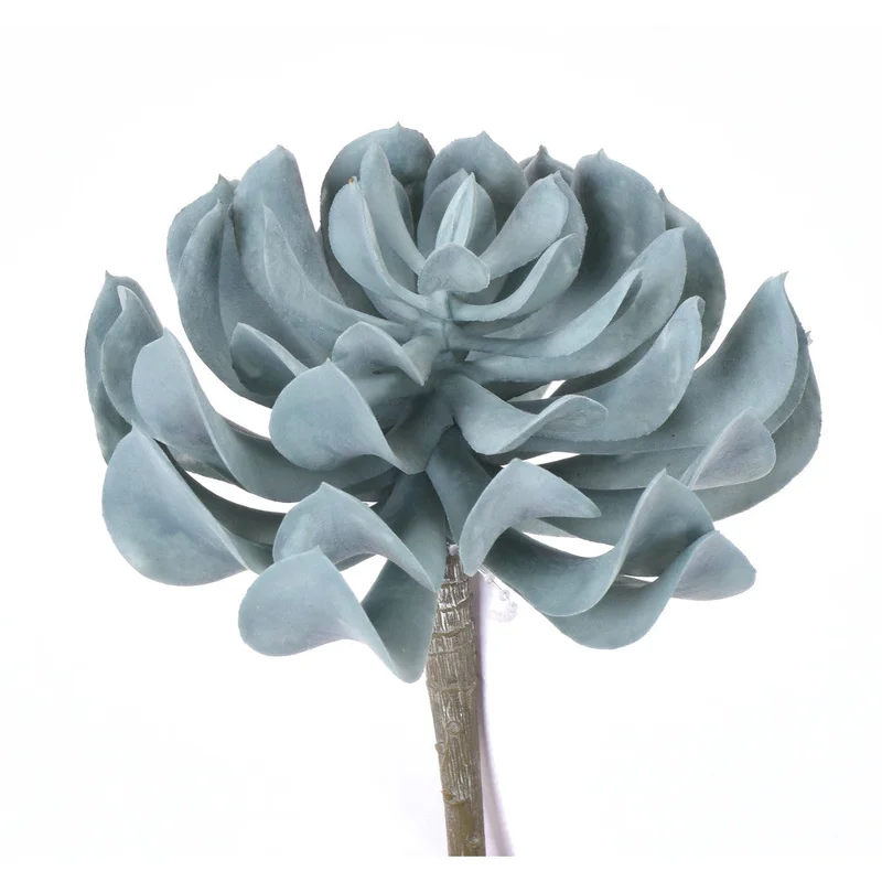 alsipnursery13484360
