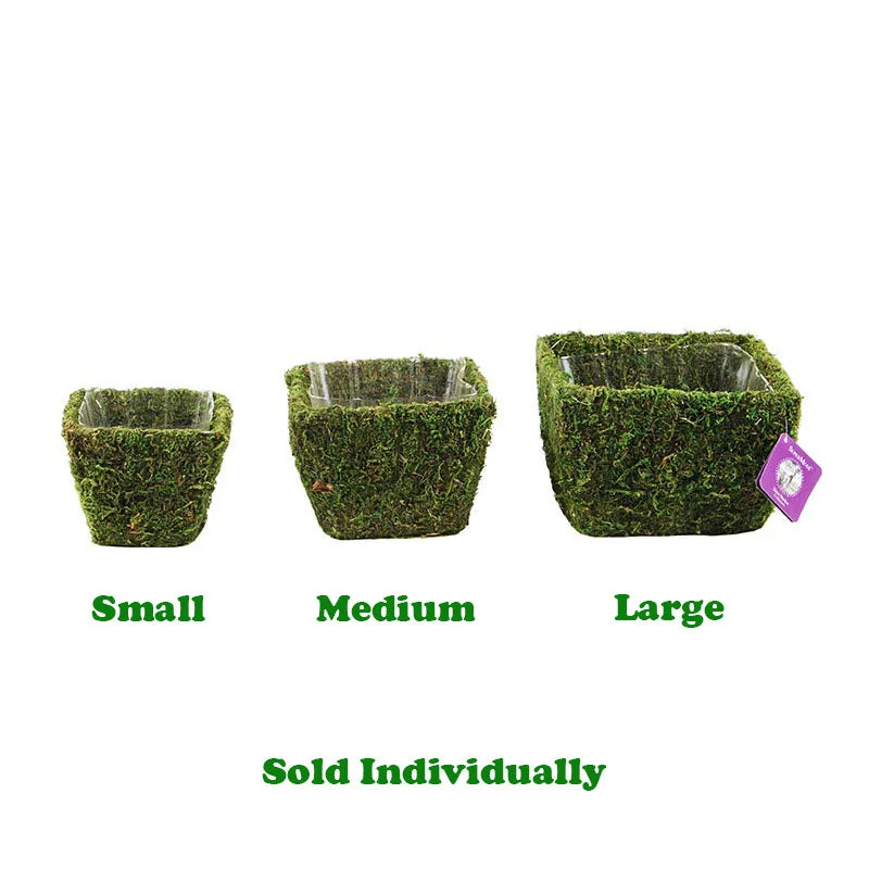 alsipnursery13484385