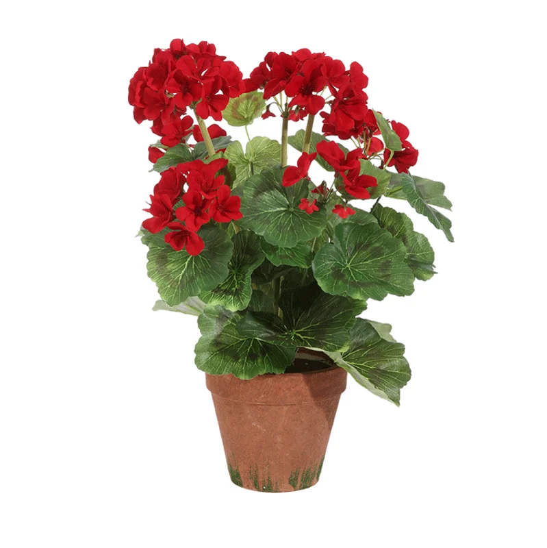alsipnursery13487613