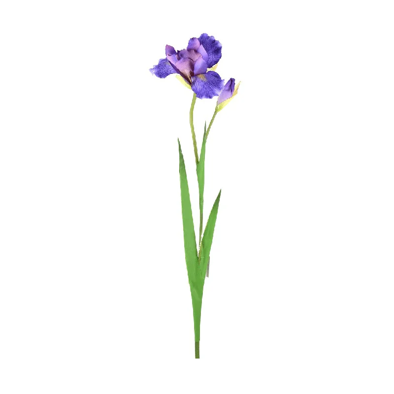 alsipnursery13487619
