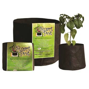 alsipnursery13488455