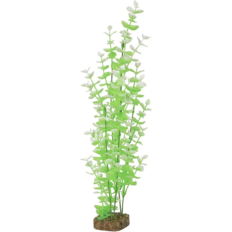 alsipnursery23417857