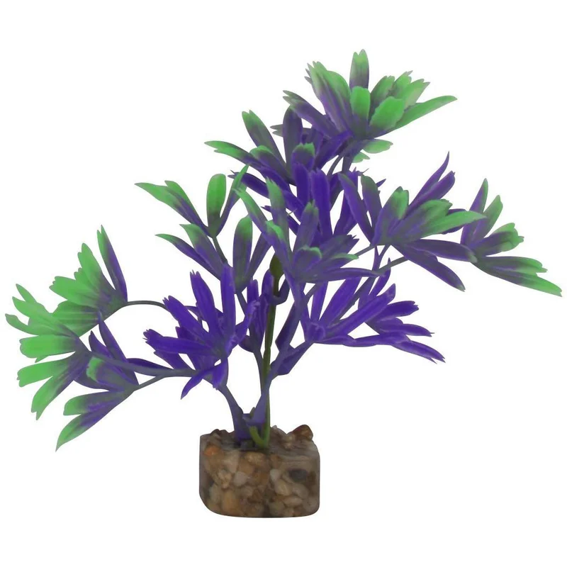 alsipnursery23417861