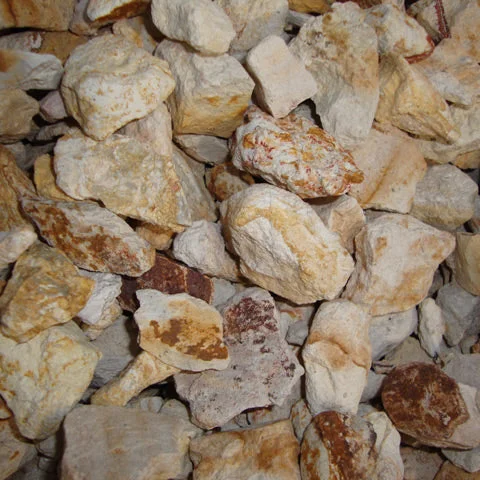 alsipnursery23418386