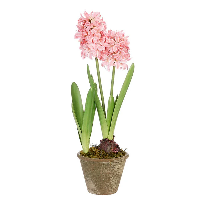 alsipnursery23419198