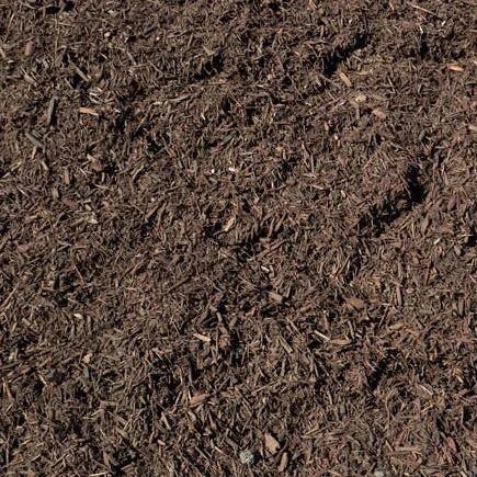 alsipnursery23419785