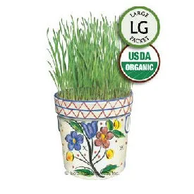 alsipnursery23420837