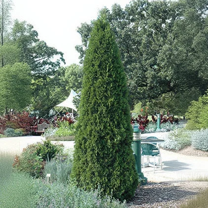 alsipnursery23458822