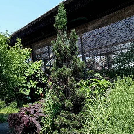 alsipnursery23475706