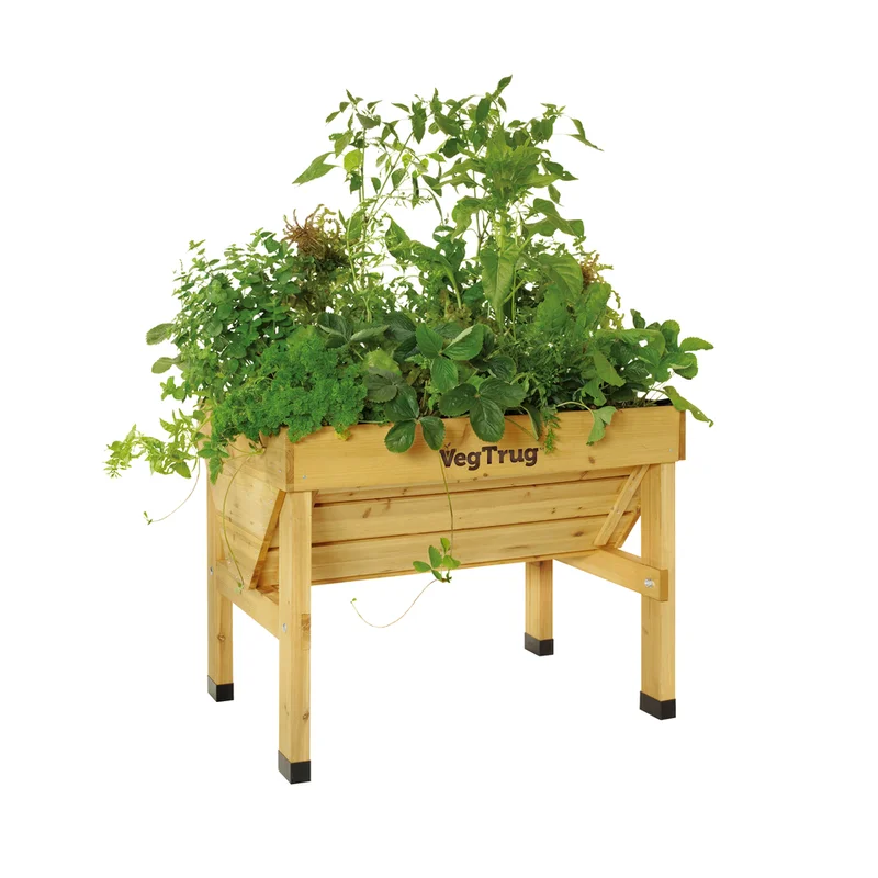 alsipnursery23477324