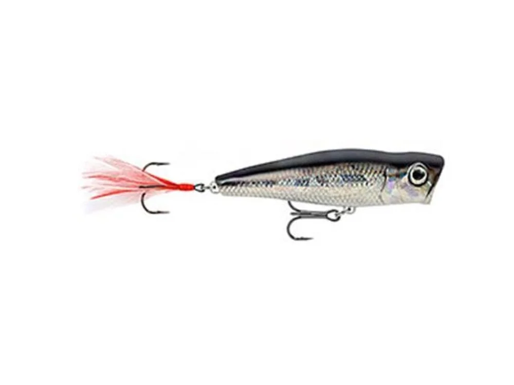 atwoods-3389147